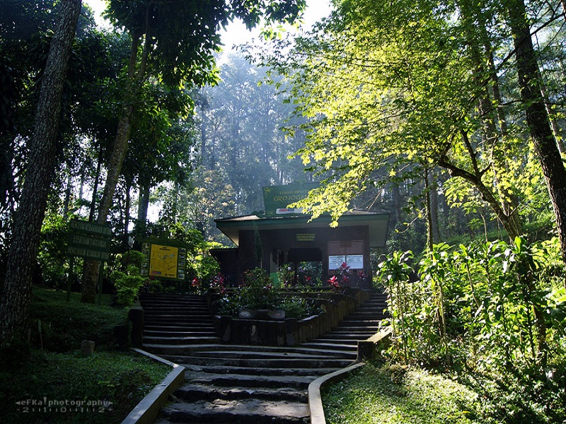 Tempat Wisata Tawangmangu Jawa Tengah